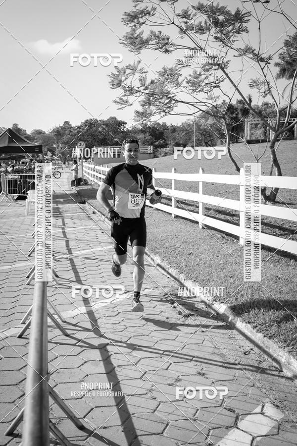 Buy your photos of the eventWolf Series - Botucatu on Fotop