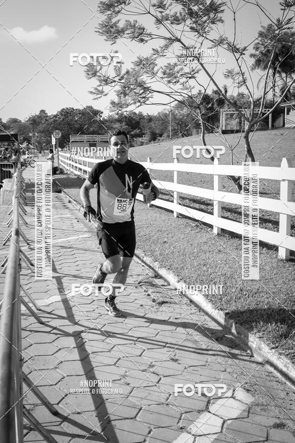 Buy your photos of the eventWolf Series - Botucatu on Fotop