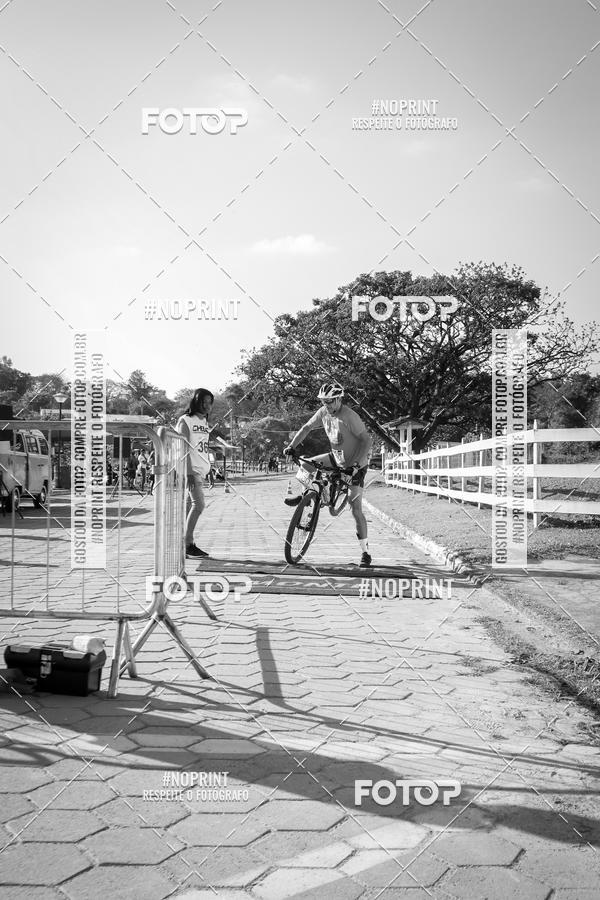 Buy your photos of the eventWolf Series - Botucatu on Fotop