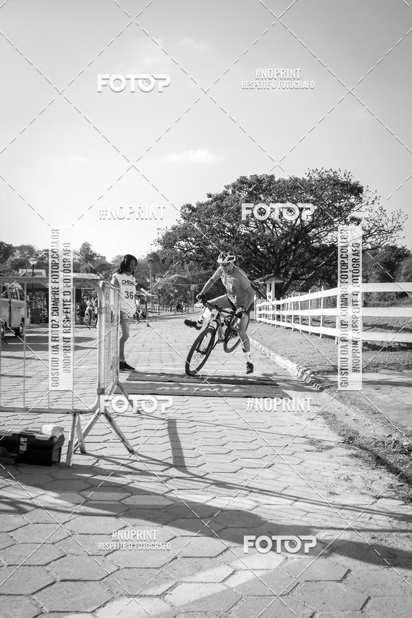 Buy your photos of the eventWolf Series - Botucatu on Fotop