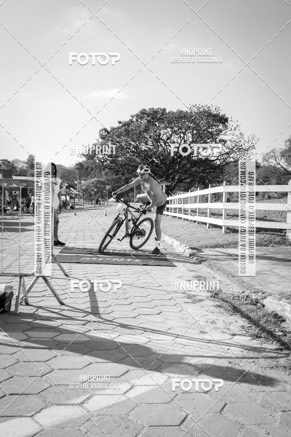 Buy your photos of the eventWolf Series - Botucatu on Fotop