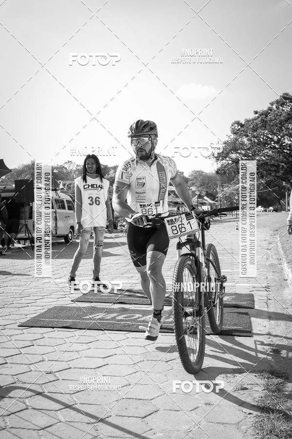 Buy your photos of the eventWolf Series - Botucatu on Fotop