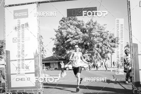 Buy your photos of the eventWolf Series - Botucatu on Fotop