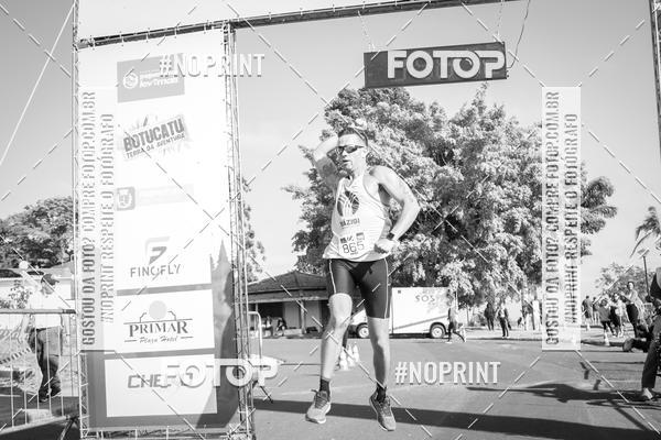 Buy your photos of the eventWolf Series - Botucatu on Fotop