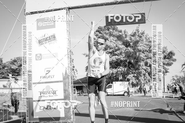 Buy your photos of the eventWolf Series - Botucatu on Fotop