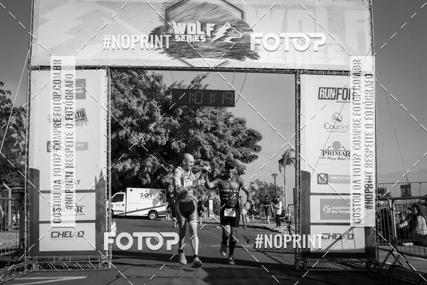 Buy your photos of the eventWolf Series - Botucatu on Fotop