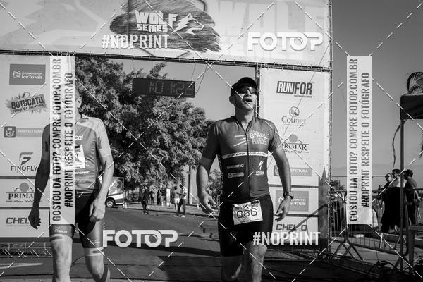Buy your photos of the eventWolf Series - Botucatu on Fotop