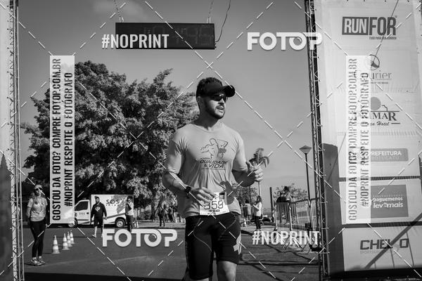 Buy your photos of the eventWolf Series - Botucatu on Fotop