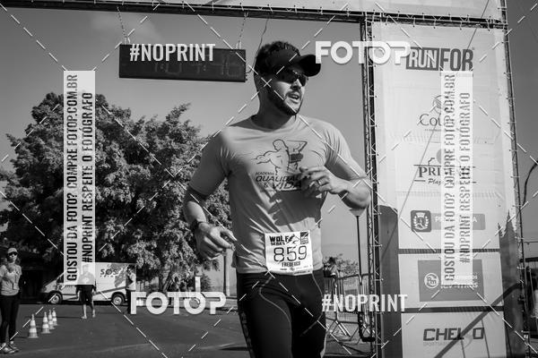 Buy your photos of the eventWolf Series - Botucatu on Fotop