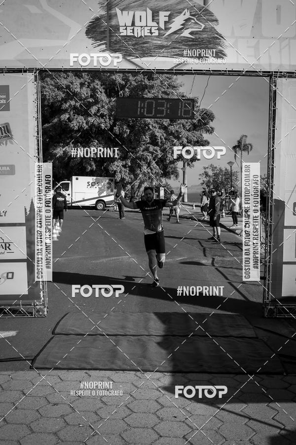 Buy your photos of the eventWolf Series - Botucatu on Fotop