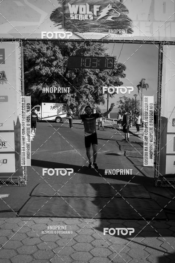 Buy your photos of the eventWolf Series - Botucatu on Fotop