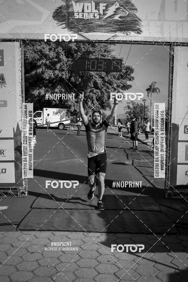 Buy your photos of the eventWolf Series - Botucatu on Fotop