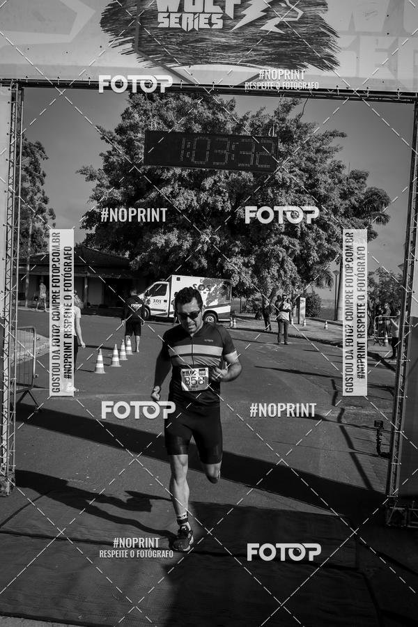 Buy your photos of the eventWolf Series - Botucatu on Fotop