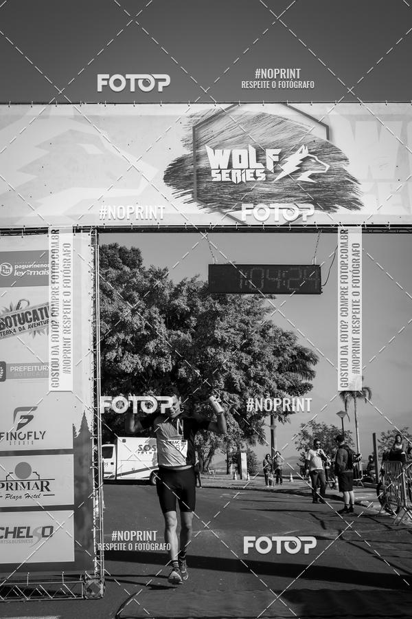 Buy your photos of the eventWolf Series - Botucatu on Fotop