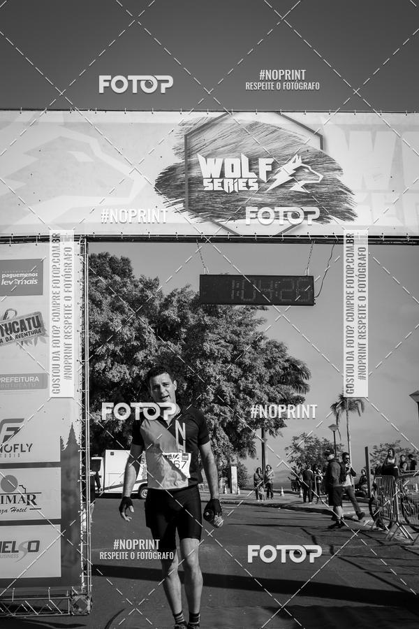 Buy your photos of the eventWolf Series - Botucatu on Fotop