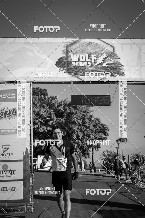 Buy your photos of the eventWolf Series - Botucatu on Fotop