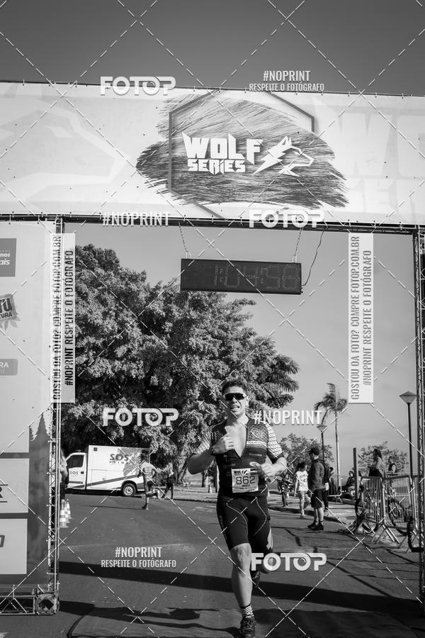 Buy your photos of the eventWolf Series - Botucatu on Fotop