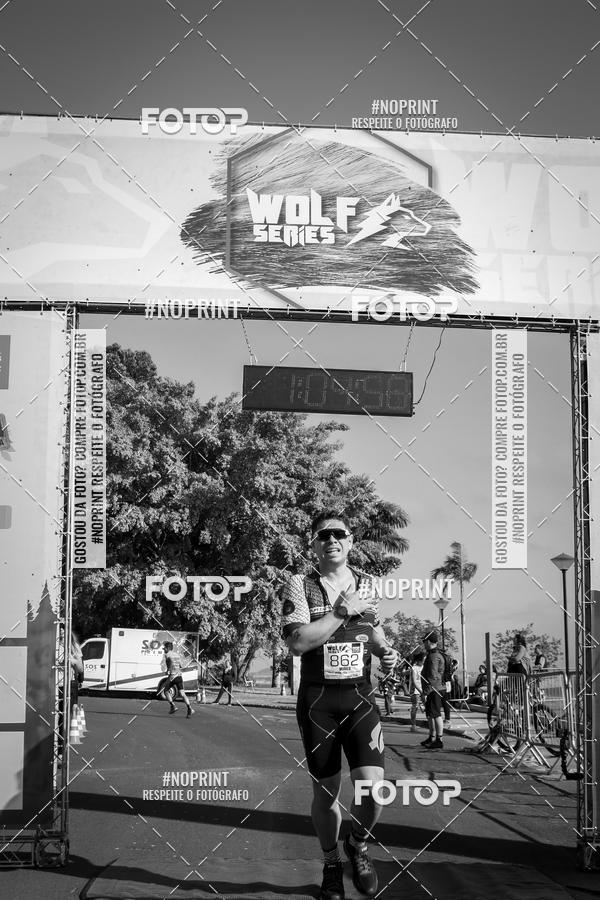 Buy your photos of the eventWolf Series - Botucatu on Fotop