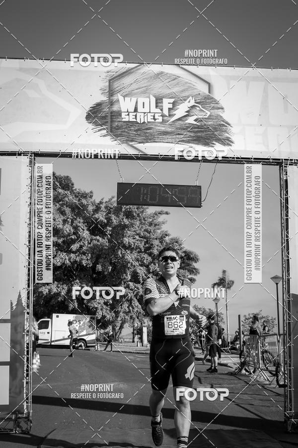 Buy your photos of the eventWolf Series - Botucatu on Fotop