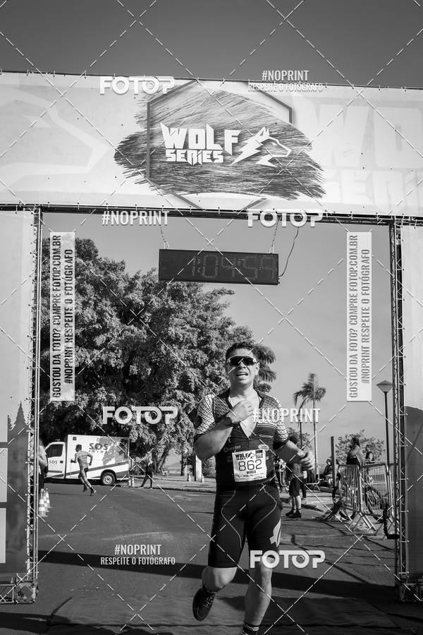 Buy your photos of the eventWolf Series - Botucatu on Fotop