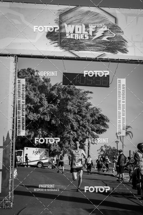 Buy your photos of the eventWolf Series - Botucatu on Fotop