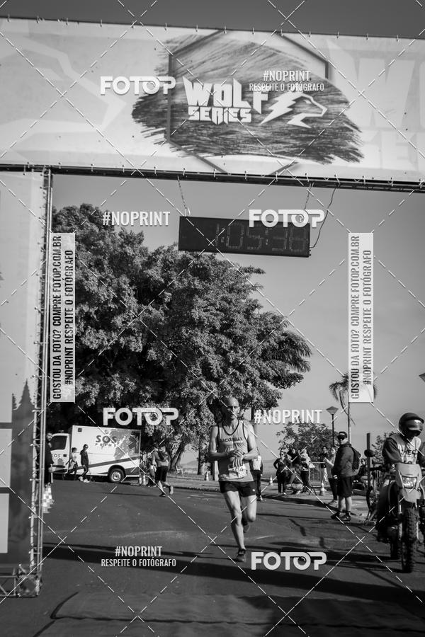 Buy your photos of the eventWolf Series - Botucatu on Fotop