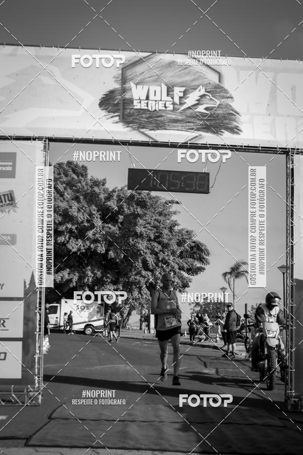 Buy your photos of the eventWolf Series - Botucatu on Fotop