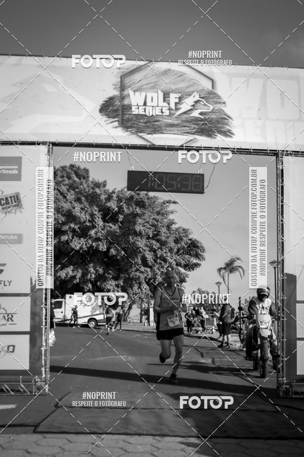 Buy your photos of the eventWolf Series - Botucatu on Fotop