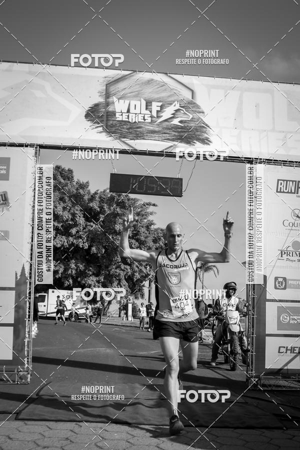 Buy your photos of the eventWolf Series - Botucatu on Fotop