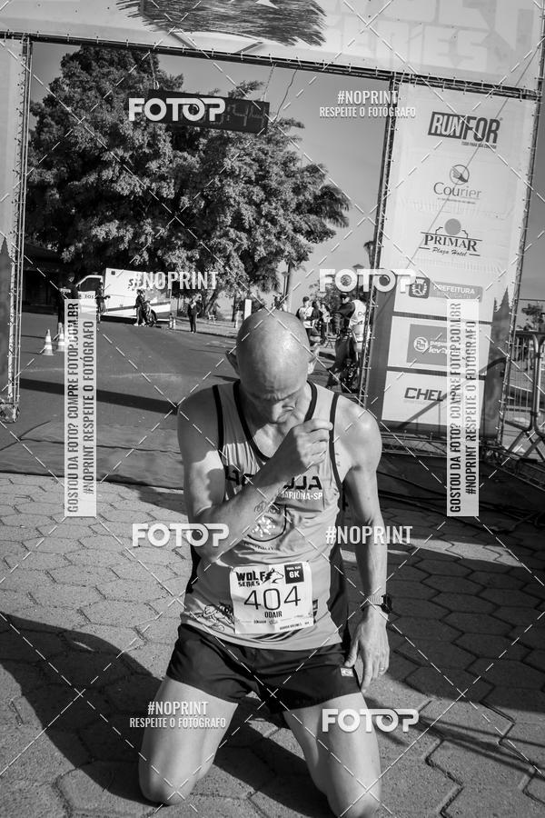 Buy your photos of the eventWolf Series - Botucatu on Fotop