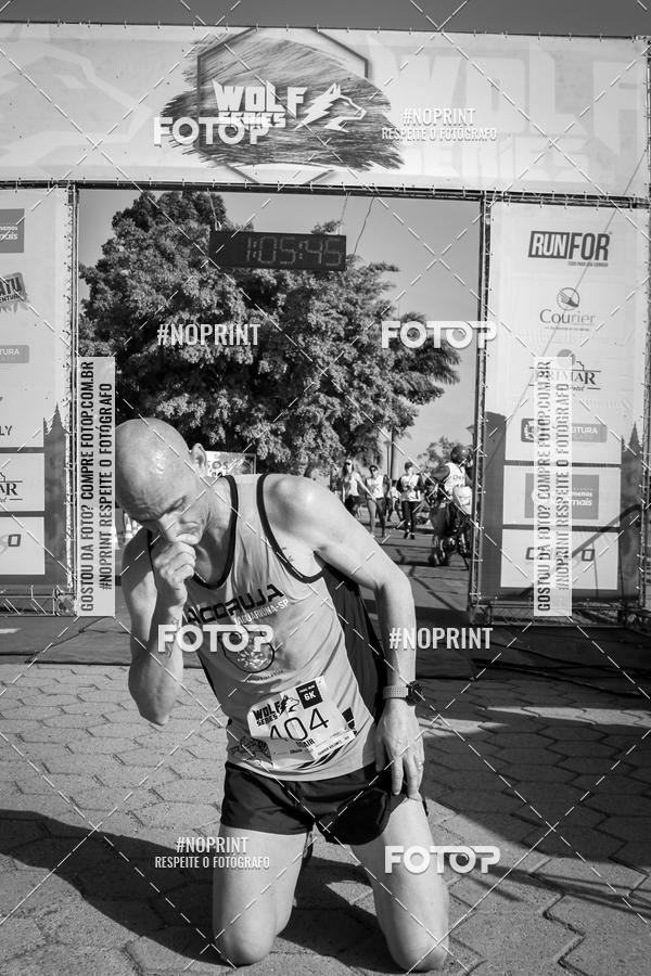 Buy your photos of the eventWolf Series - Botucatu on Fotop