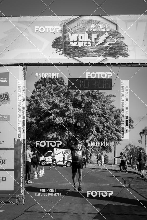 Buy your photos of the eventWolf Series - Botucatu on Fotop