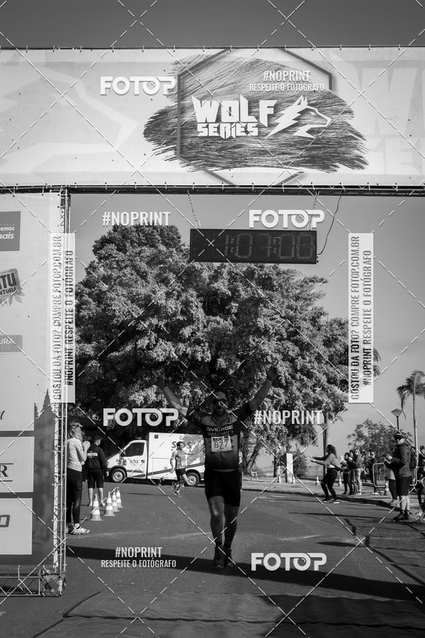 Buy your photos of the eventWolf Series - Botucatu on Fotop