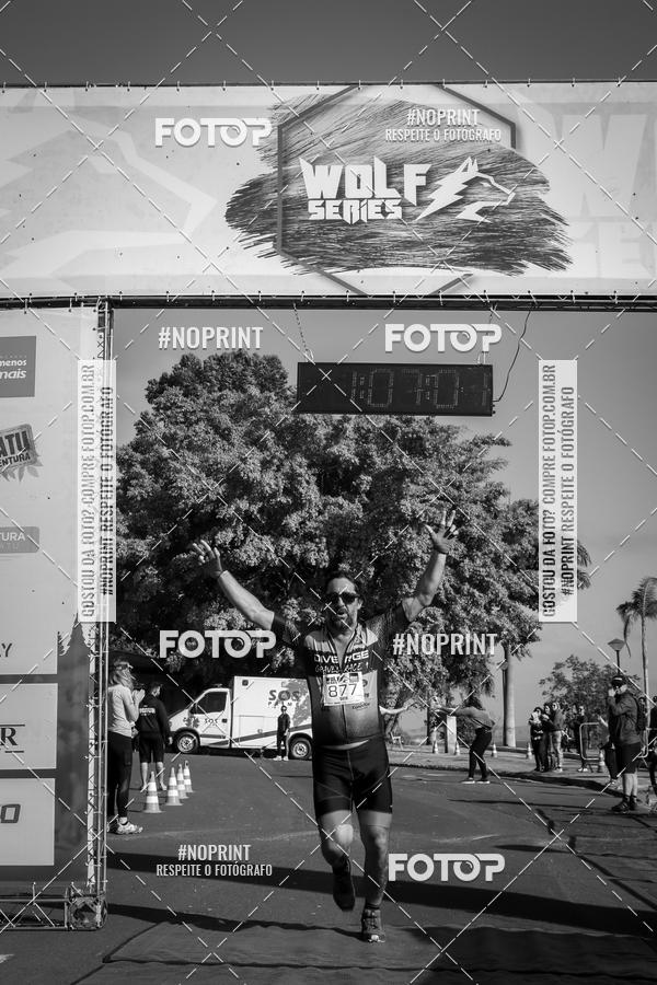 Buy your photos of the eventWolf Series - Botucatu on Fotop