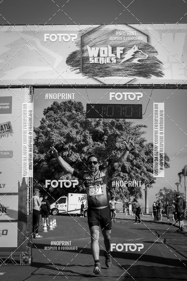 Buy your photos of the eventWolf Series - Botucatu on Fotop