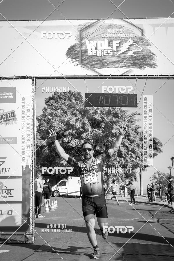 Buy your photos of the eventWolf Series - Botucatu on Fotop