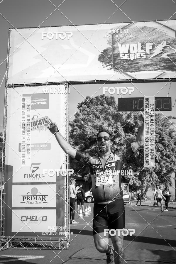 Buy your photos of the eventWolf Series - Botucatu on Fotop