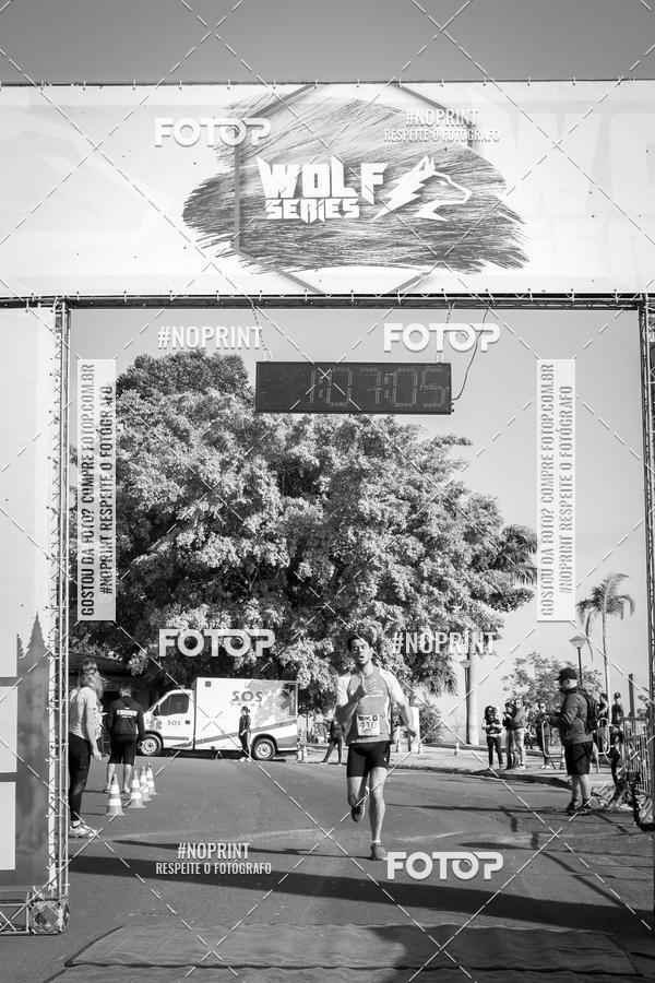 Buy your photos of the eventWolf Series - Botucatu on Fotop