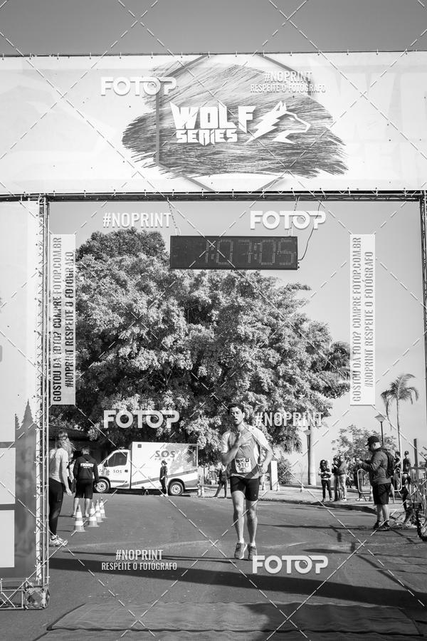 Buy your photos of the eventWolf Series - Botucatu on Fotop