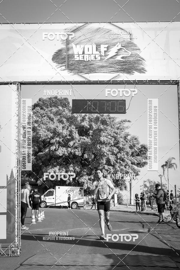 Buy your photos of the eventWolf Series - Botucatu on Fotop