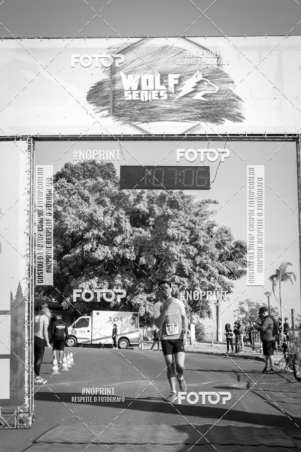 Buy your photos of the eventWolf Series - Botucatu on Fotop