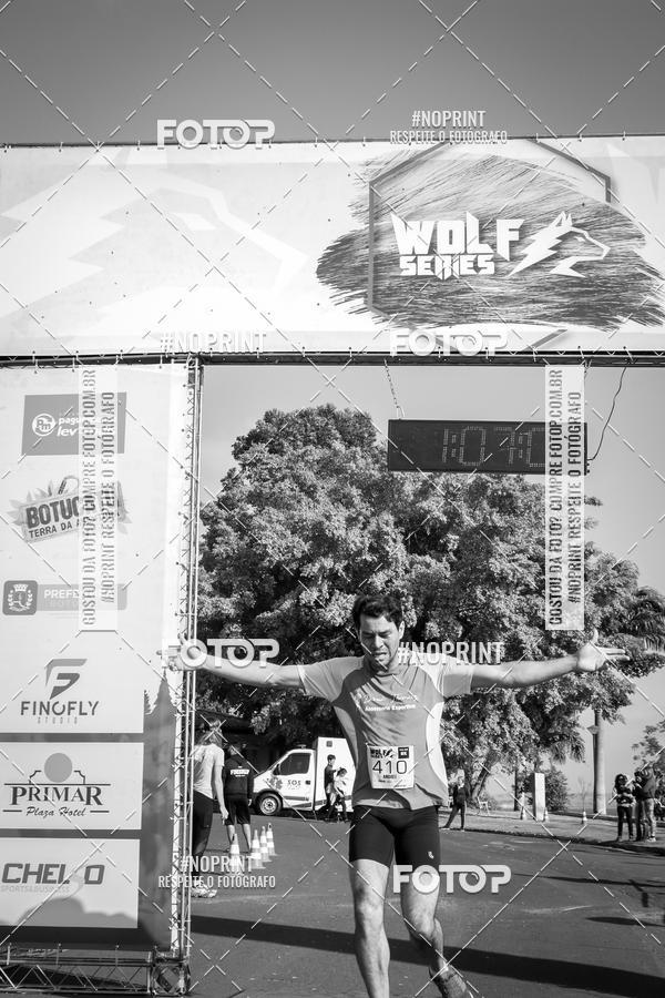 Buy your photos of the eventWolf Series - Botucatu on Fotop