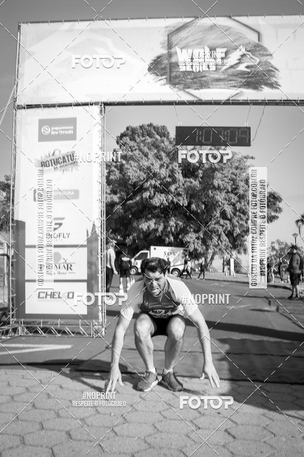 Buy your photos of the eventWolf Series - Botucatu on Fotop