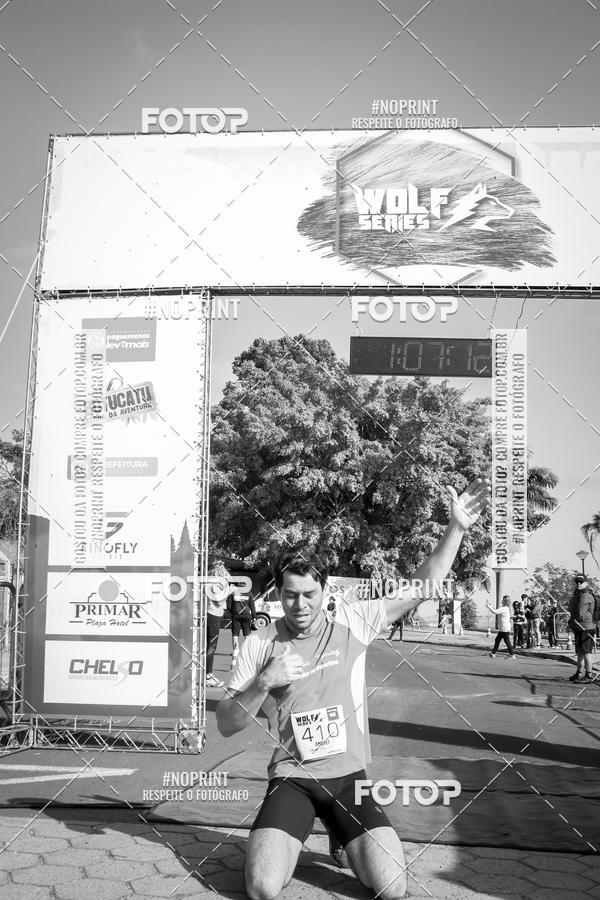 Buy your photos of the eventWolf Series - Botucatu on Fotop