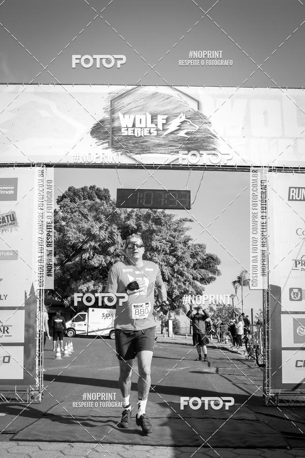 Buy your photos of the eventWolf Series - Botucatu on Fotop