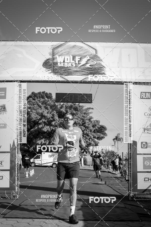 Buy your photos of the eventWolf Series - Botucatu on Fotop