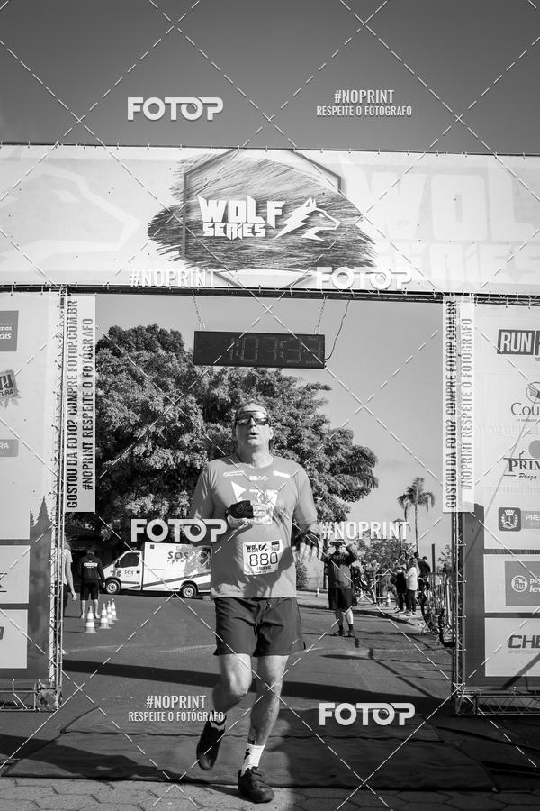 Buy your photos of the eventWolf Series - Botucatu on Fotop