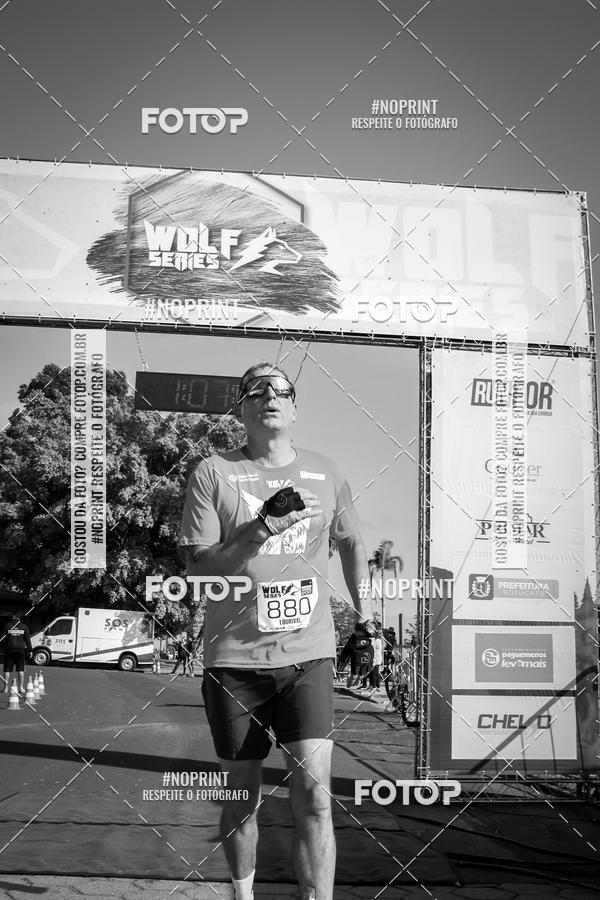 Buy your photos of the eventWolf Series - Botucatu on Fotop