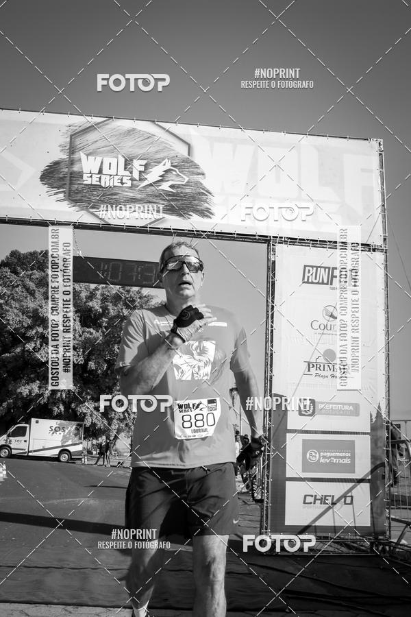 Buy your photos of the eventWolf Series - Botucatu on Fotop