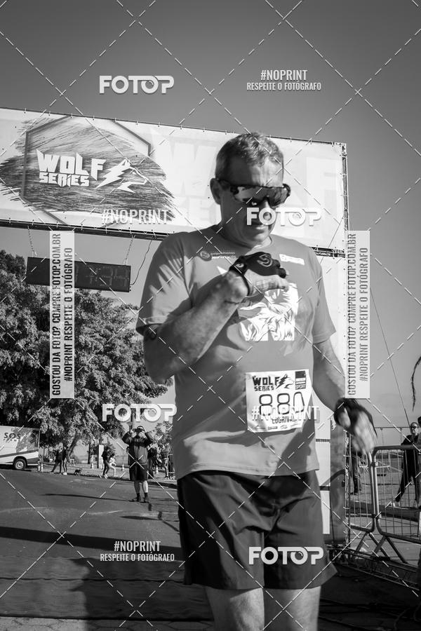 Buy your photos of the eventWolf Series - Botucatu on Fotop